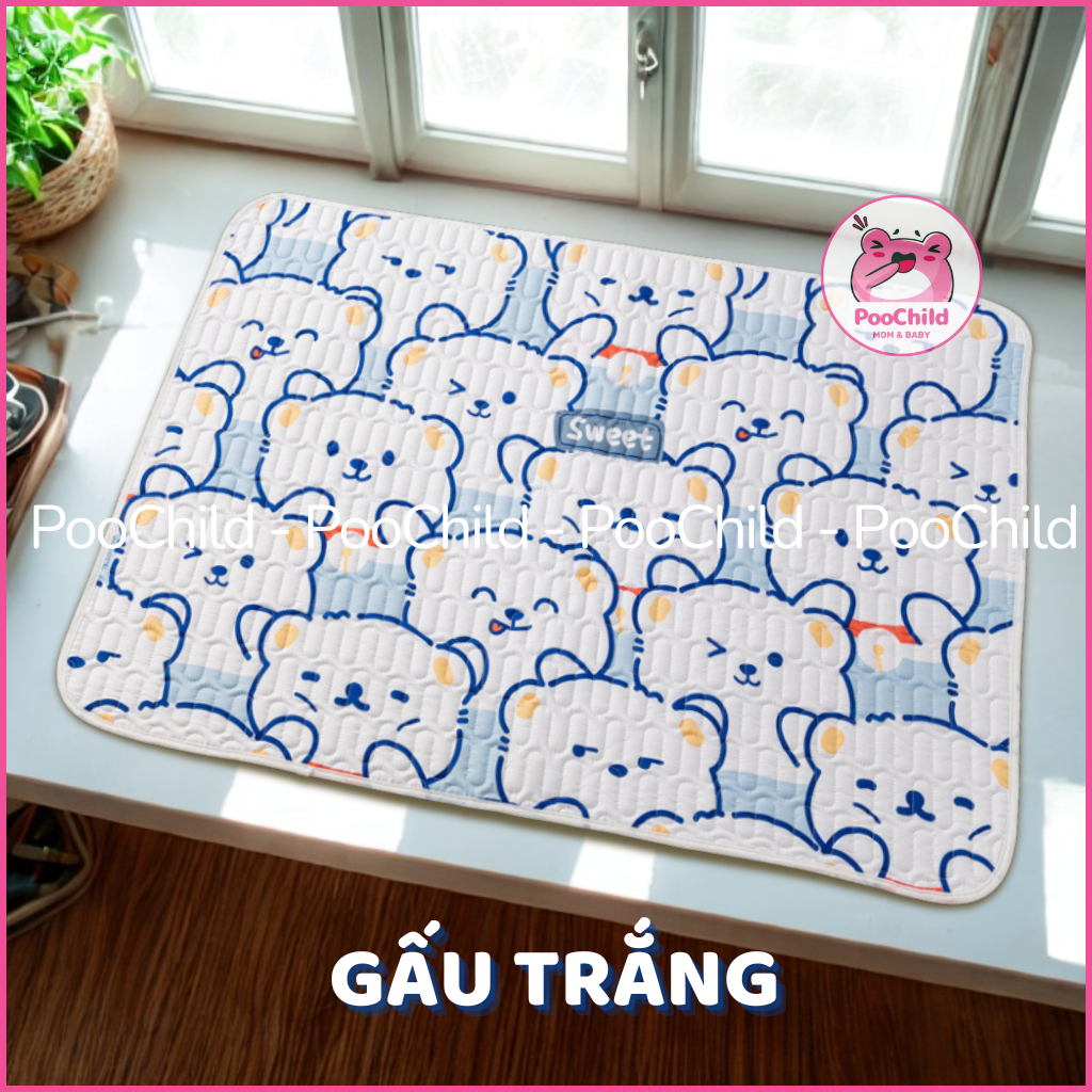 Gấu Trắng