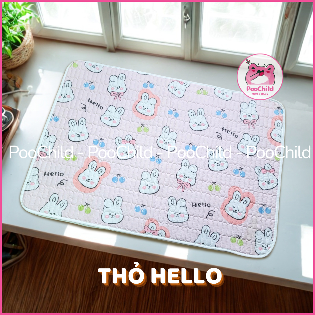 Thỏ Hello
