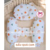 Gấu quả cam