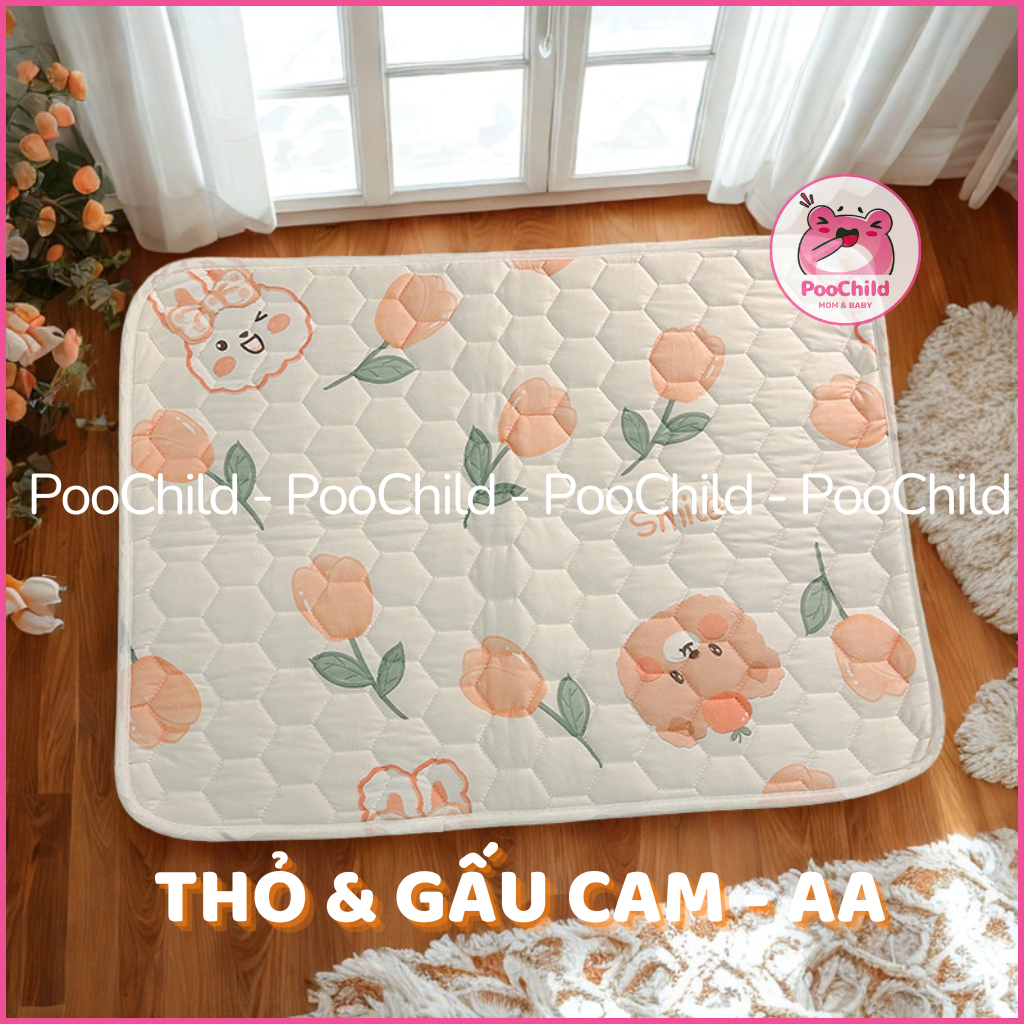 Thỏ & Gấu Cam - AA