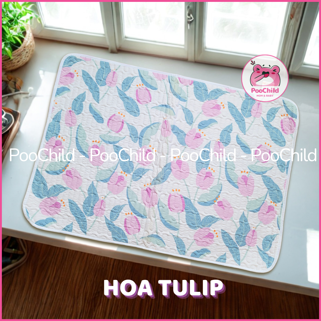 Hoa Tulip