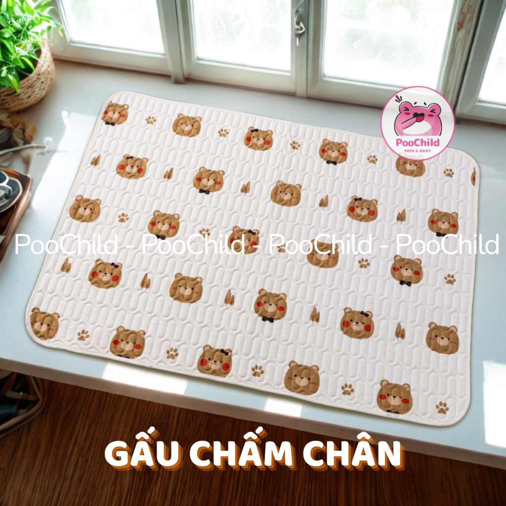 Gấu Chấm Chân