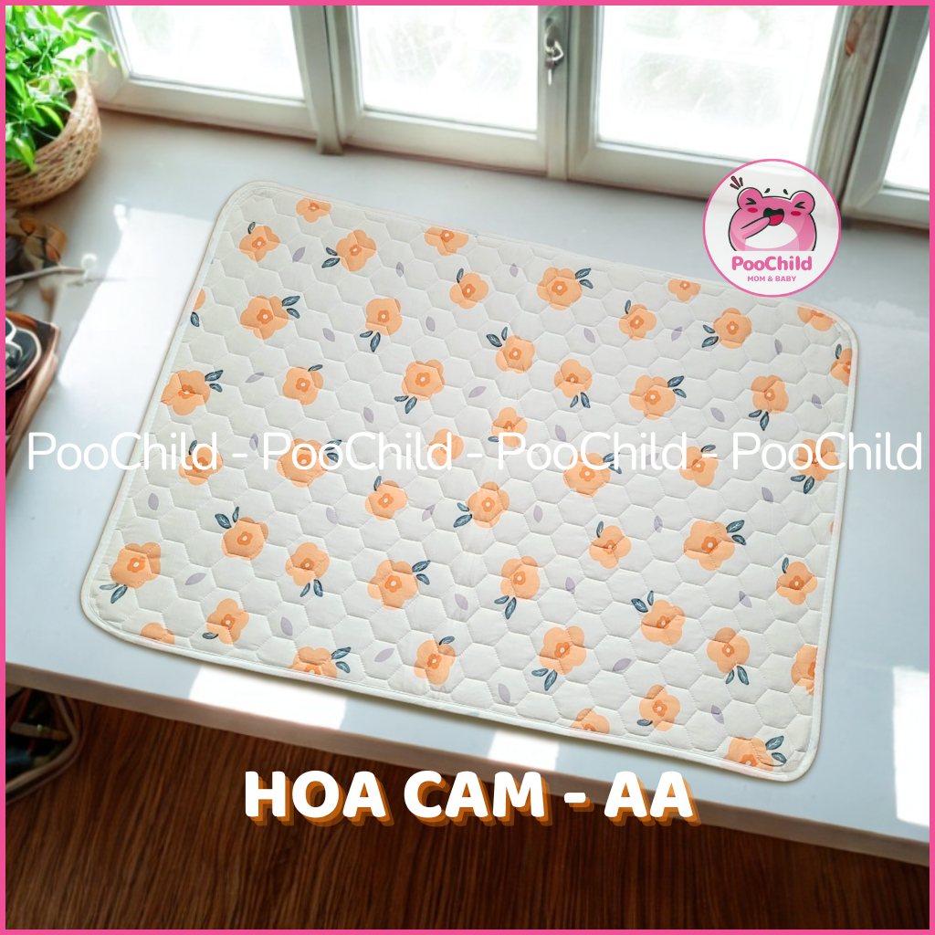 Hoa Cam - AA