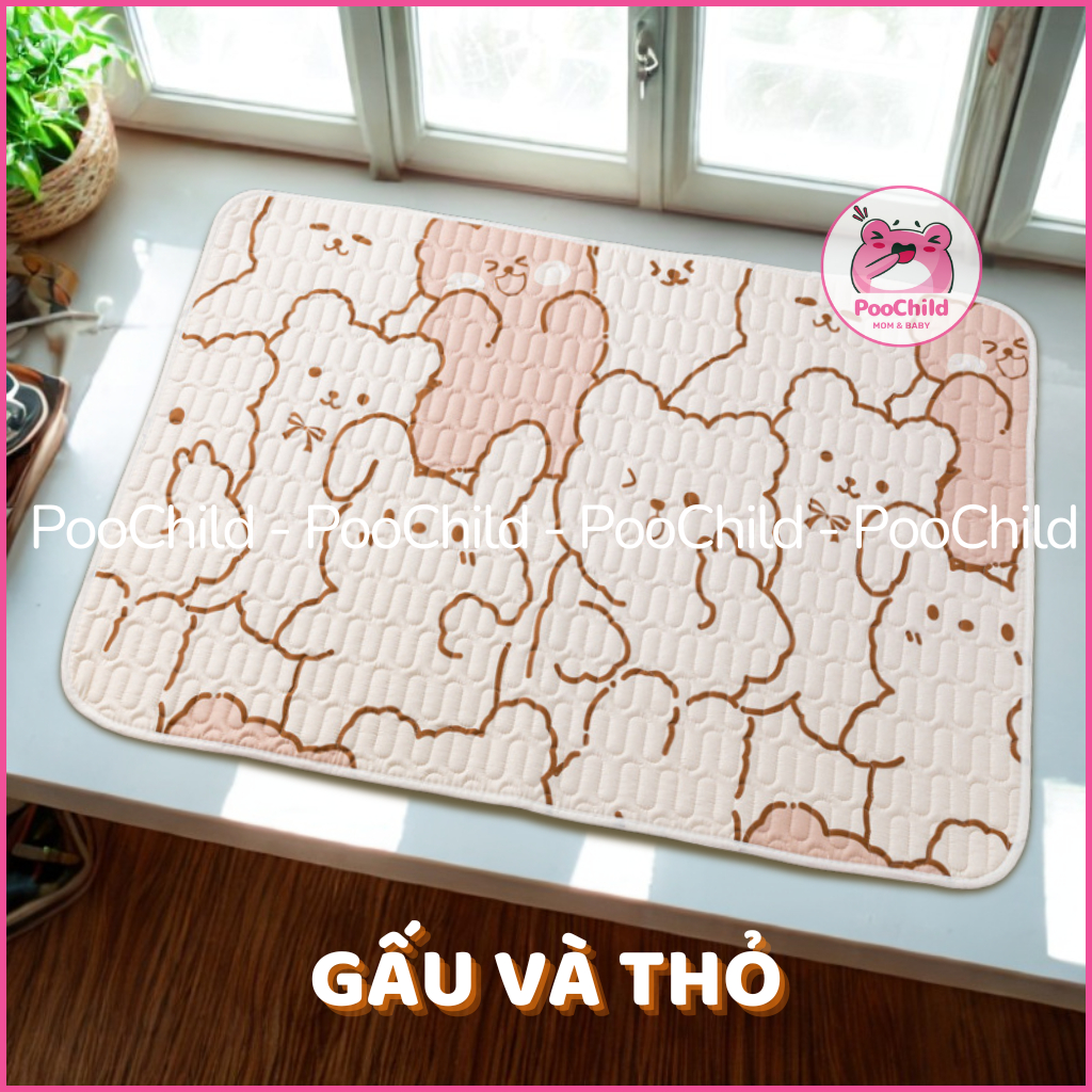 Gấu Và Thỏ